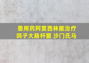 兽用药阿莫西林能治疗鸽子大肠杆菌 沙门氏马